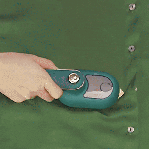Portable Mini Garment Steamer for Home and Travel1