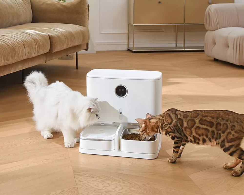automatic water feeder dogs